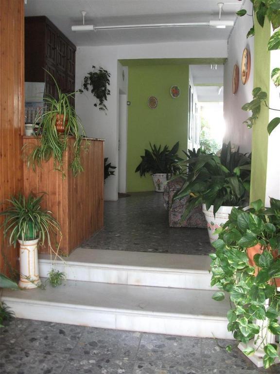 Alojamientos Casa Tejon Mijas Kültér fotó